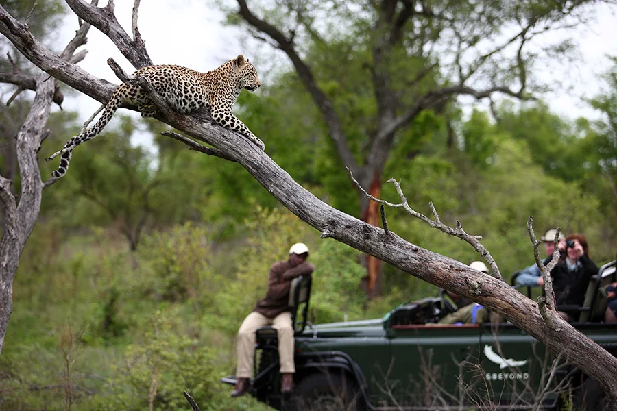 Rwanda travel experience for first-time visitors to Africa