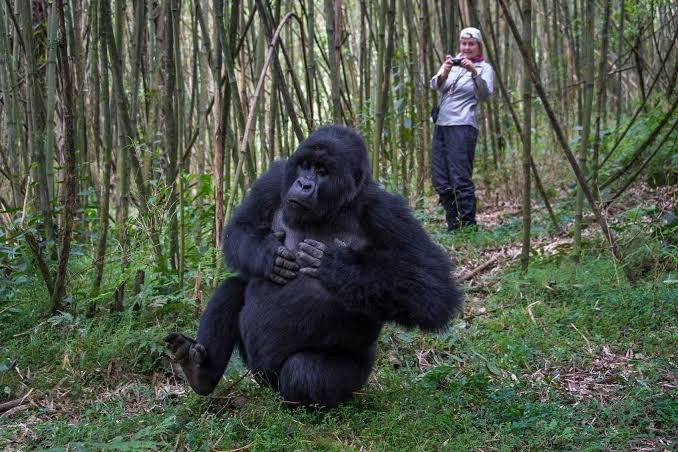 Is Rwanda Good for Solo Travelers