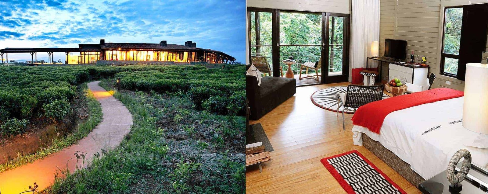 Luxury Accommodation at OneOnly Nyungwe House Rwanda
