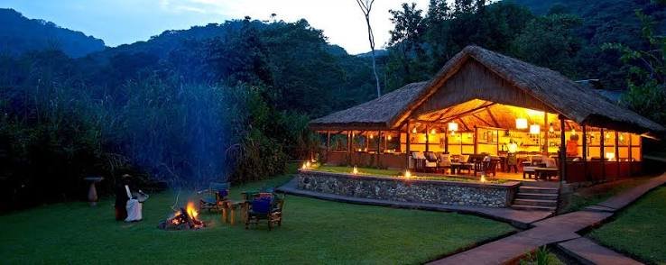 Luxury gorilla lodges in Rwanda for honeymoon safari experiences