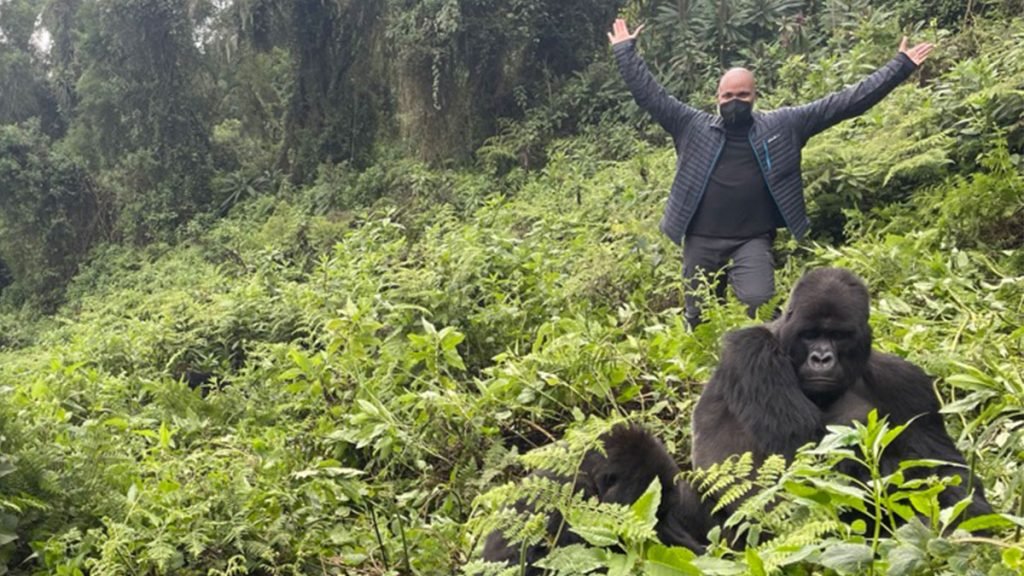 1-Day Gorilla Trekking Itinerary in Rwanda