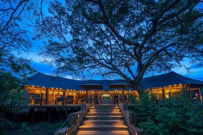 Luxury Safari Experience at Wilderness Magashi Peninsula Rwanda