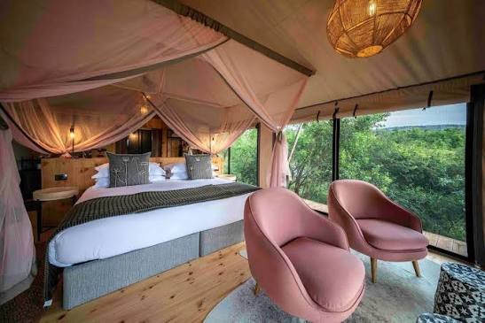 Luxury Safari at Magashi Peninsula in Akagera