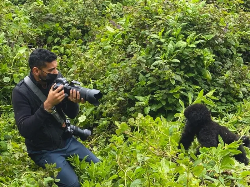 Magical Gorilla Filming in Bwindi Uganda