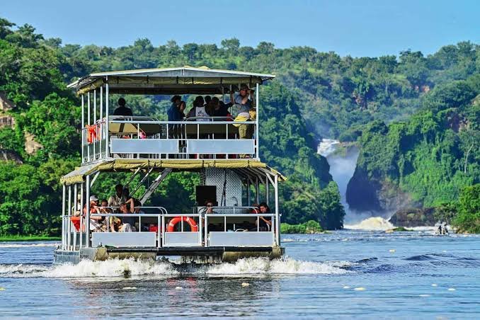 Difference Between Rwanda and Uganda Gorilla Trekking Safari Combinations
