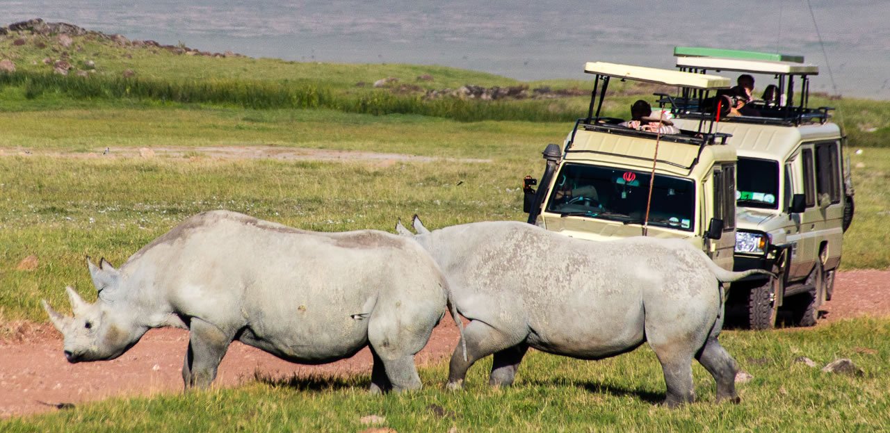 Can You Combine Rwanda With Tanzania Safari Ngorongoro Crater safari