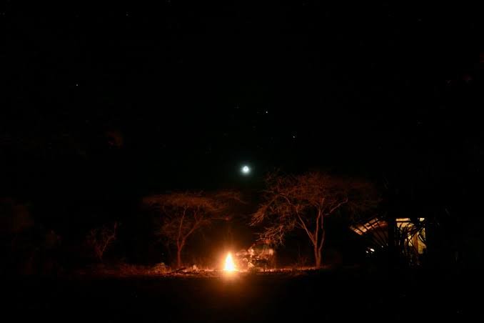 Night Safaris in Akagera National Park Rwanda
