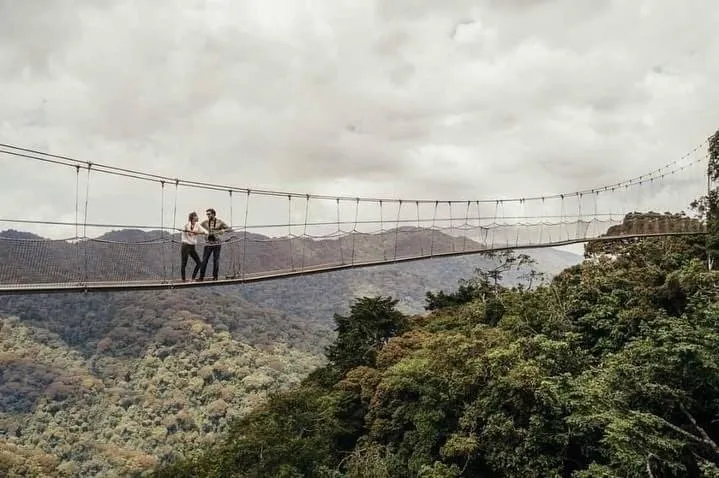 Nyungwe canopy walk experience in Rwanda