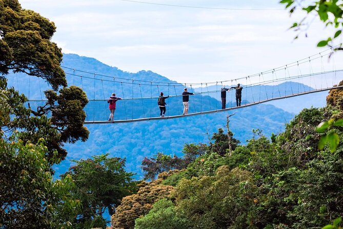 Nyungwe Canopy Zipline and New Forest Adventures