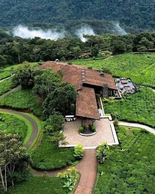 Ancient Nyungwe rainforest landscape and luxury safari experience