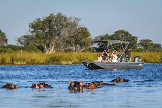 Okavango Delta The Heart of a Rwanda and Botswana Safari