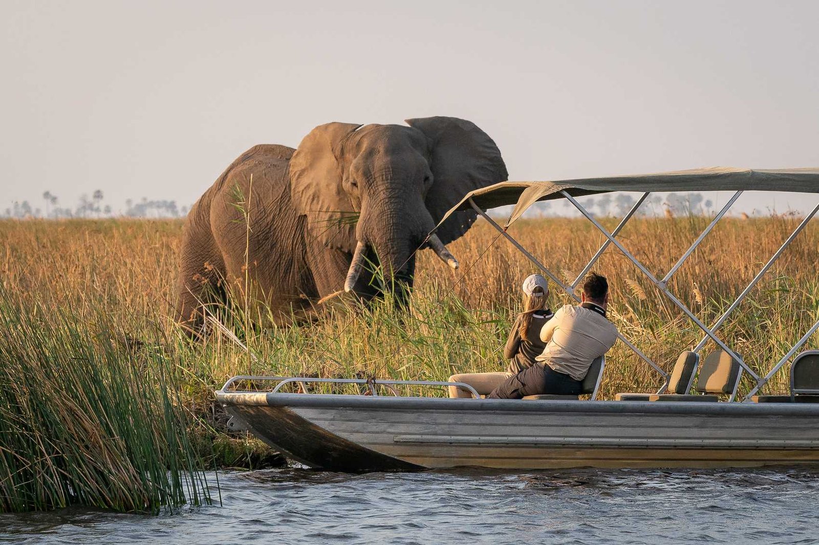 Okavango Delta The Heart of a Rwanda and Botswana Safari