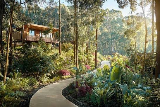 One&Only Gorilla’s Nest and Magashi Luxury Safari