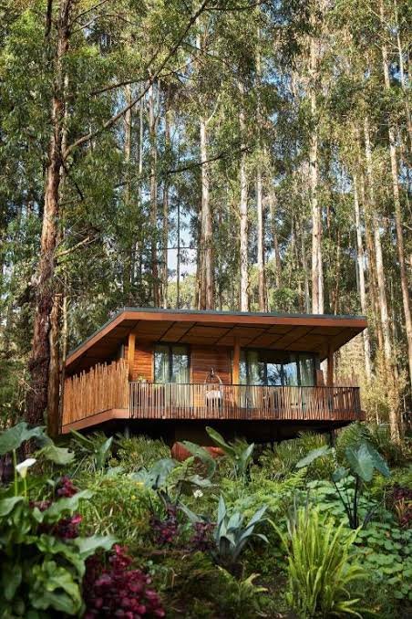 One&Only Gorilla's Nest Rwanda luxury gorilla lodge