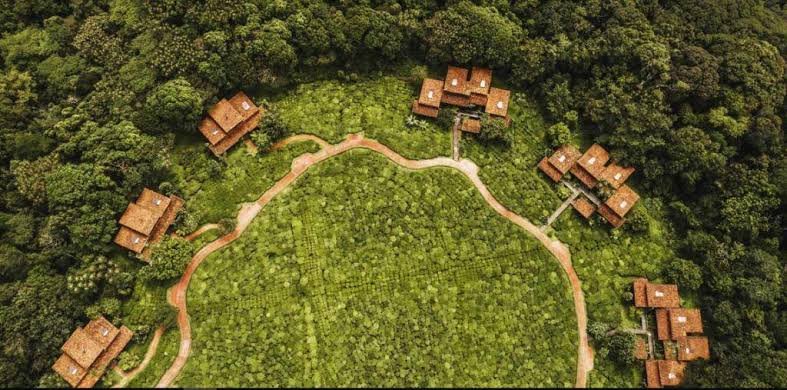 OneOnly Nyungwe House Rwanda Is Now Nyungwe Tea Forest Resort