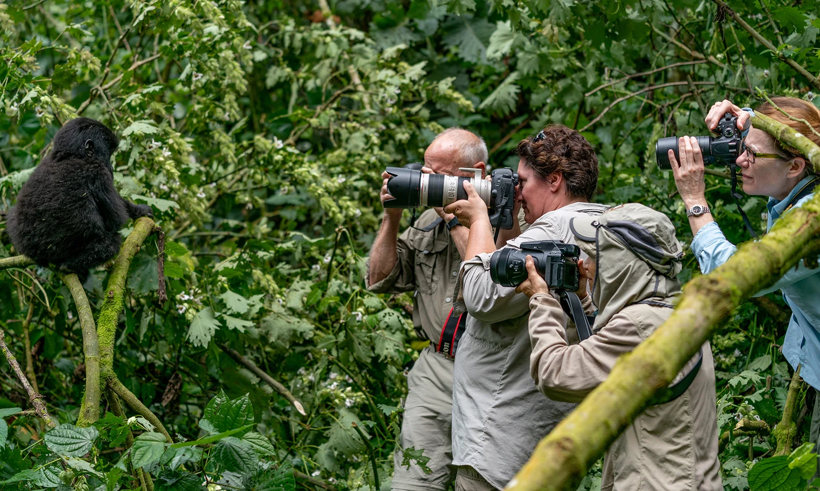 Photography Equipment for Capturing Luxury Gorilla Safari Memories