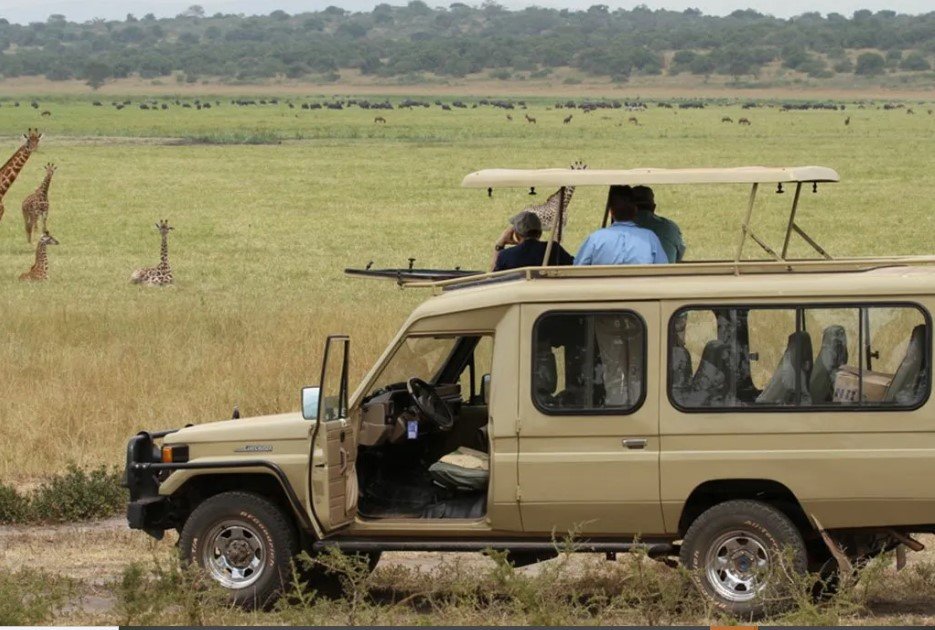 Can You Combine Rwanda With Uganda Safari Akagera wildlife safari
