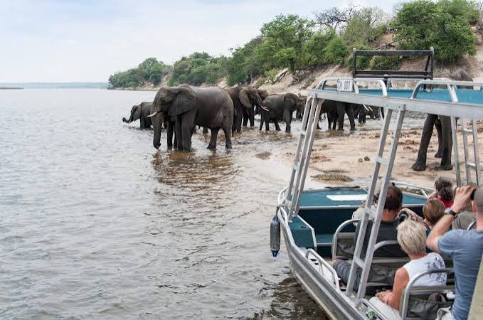5 Day Gorillas & Lake Kivu Safari