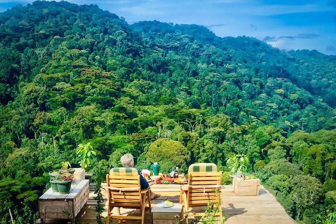 Luxury Safari Relaxation Experience Rwanda