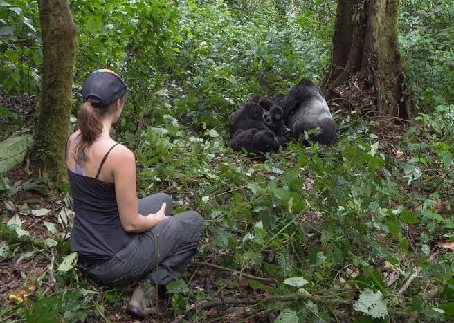 Family gorilla trekking in Rwanda with teenage children aged 15 to 17