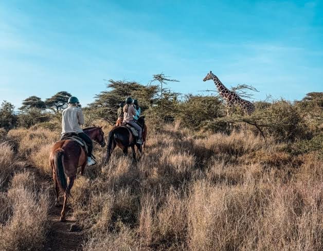 Rwanda offers more than a traditional safari experience