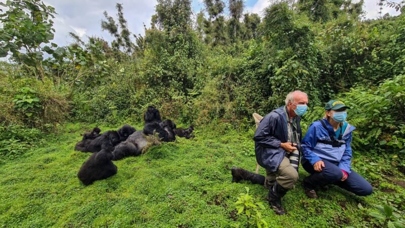 Rwanda Safari for Seniors