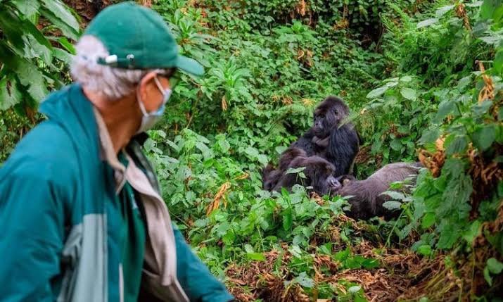 Rwanda Safari for Seniors