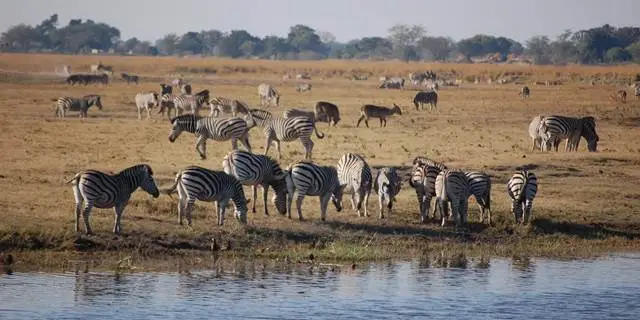 Rwanda and Botswana Safari