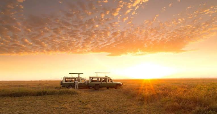 Rwanda and Tanzania Safari With Zanzibar