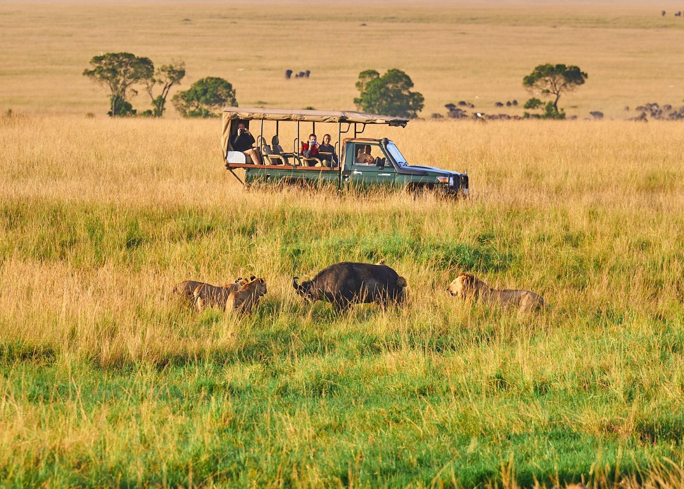 Rwanda and Tanzania Safari With Zanzibar