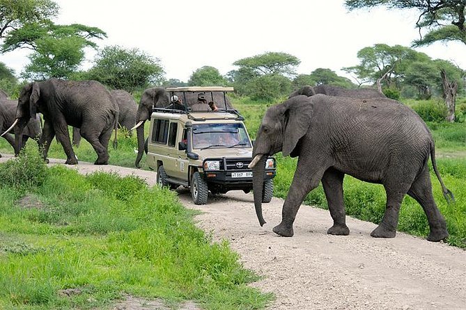 Can You Combine Rwanda With Tanzania Safari luxury gorilla and Tanzania safari