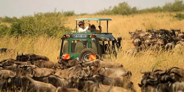 Rwanda and Tanzania Safari