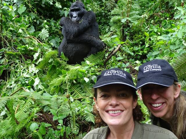 Is Rwanda Good for First-Time Africa Travelers? Yes, Rwanda can be an excellent introduction to Africa for travellers who want remarkable wildlife, relatively manageable travel distances, comfortable accommodation and several very different experiences within one country. A first visit can begin in Kigali, continue east into savannah landscapes for a safari in Akagera National Park, move north into the Virunga Mountains for gorilla trekking in Rwanda, pause beside Lake Kivu