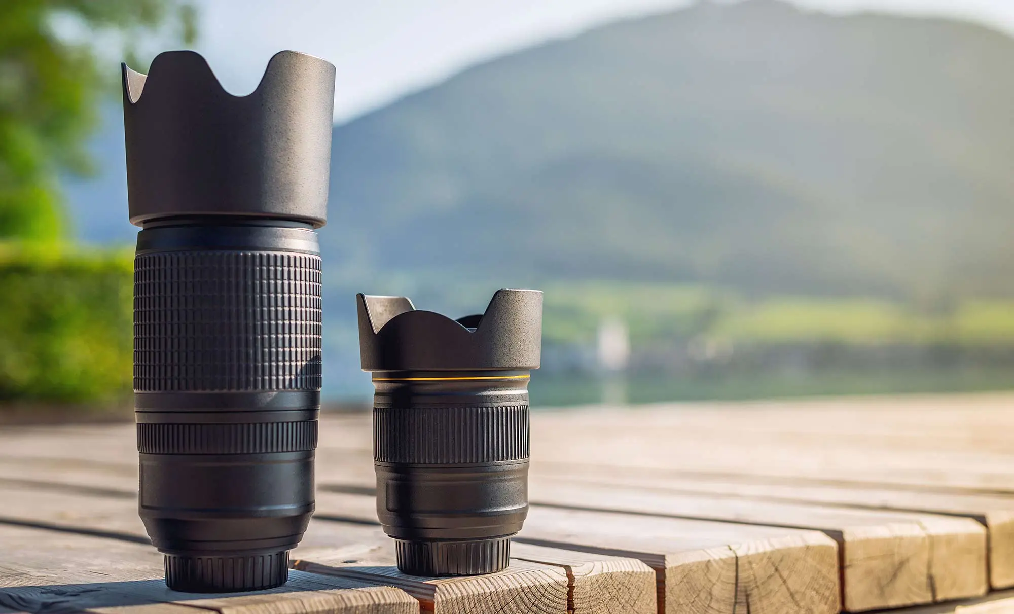 Should you carry a wide angle or standard zoom lens for wildlife photography