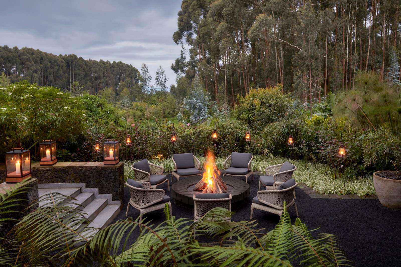 Silverback Suite The Ultimate One&Only Gorilla's Nest Stay