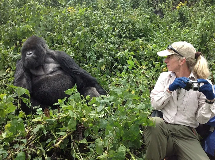 Rwanda solo gorilla trekking experience
