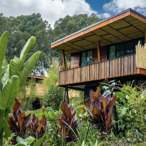 Treehouses and Suites at One&Only Gorilla's Nest