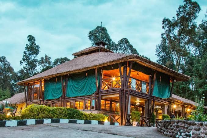 Understanding Ultra-Luxury Gorilla Lodges in Rwanda