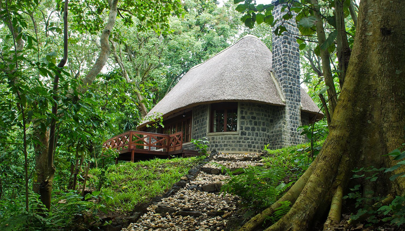 Virunga Suite Spacious Forest Luxury