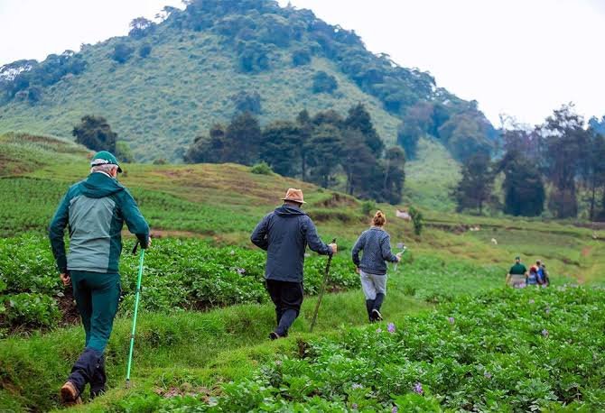 Volcano Hiking Adventures in Rwanda
