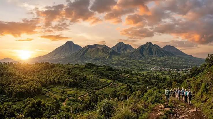 Volcanoes National Park Rwanda Luxury Safari