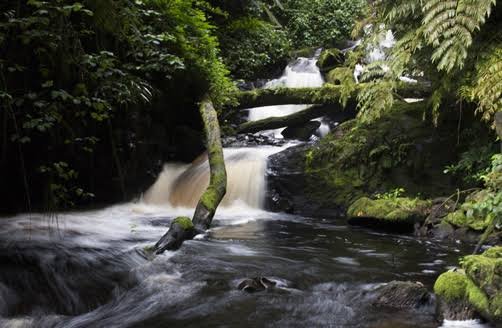 Waterfalls and Scenic Forest Experiences in Nyungwe