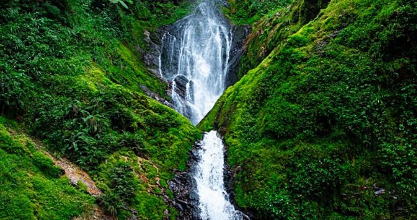 What Is Nyungwe Forest Famous For waterfalls and nature trails