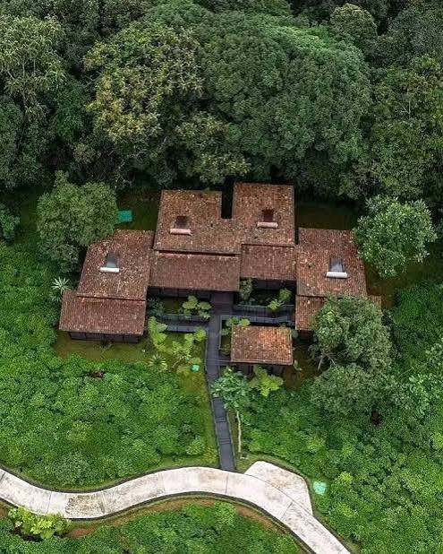 Luxury Rwanda Safari Combining Magashi Peninsula and Nyungwe House
