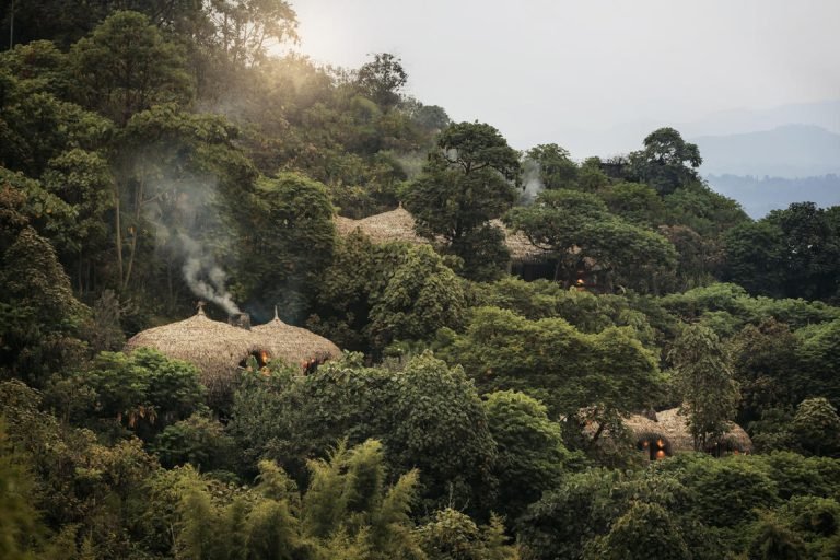 Wilderness Bisate Reserve Rwanda is an exclusive private safari retreat on the edge of Volcanoes National Park, created for travellers seeking exceptional privacy,