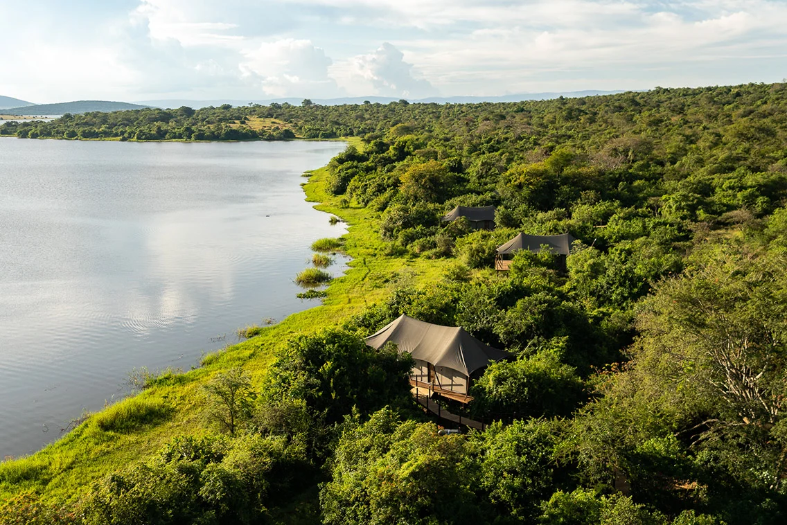 Wilderness Magashi Peninsula Luxury Safari