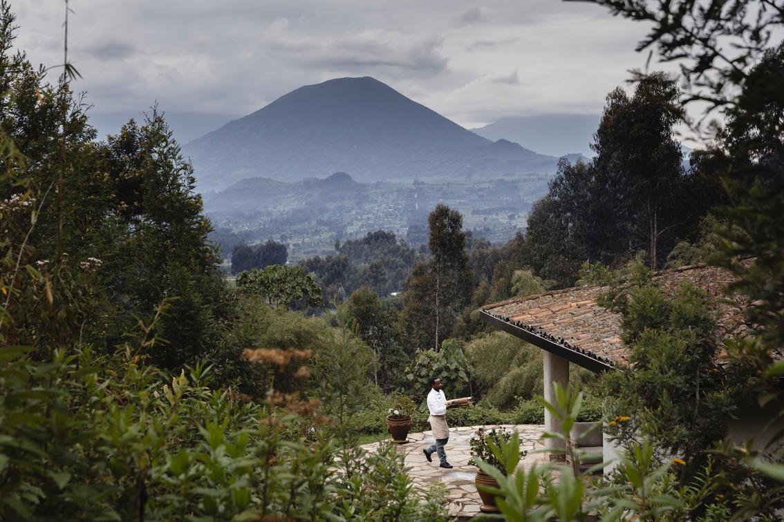Wilderness Sabyinyo vs Virunga Lodge for Honeymooners