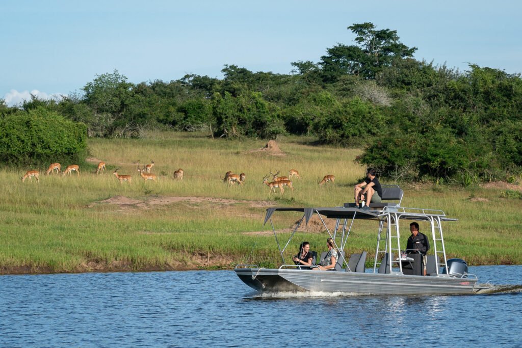 Wildlife Encounters at Wilderness Magashi Peninsula Rwanda