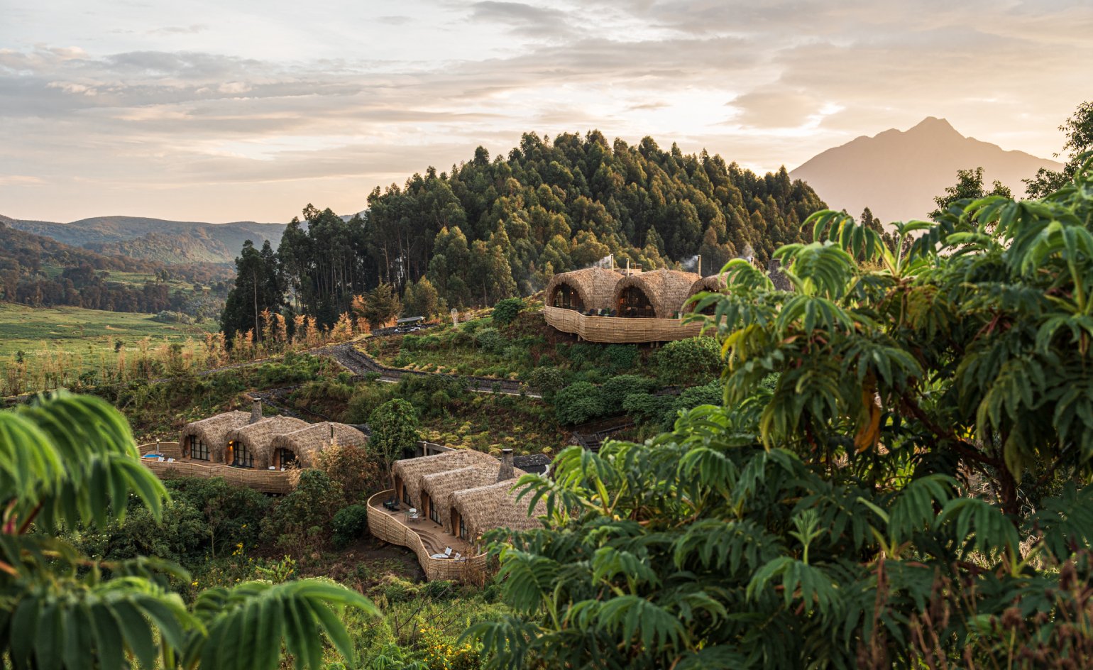 Luxury Rwanda Safari Experience