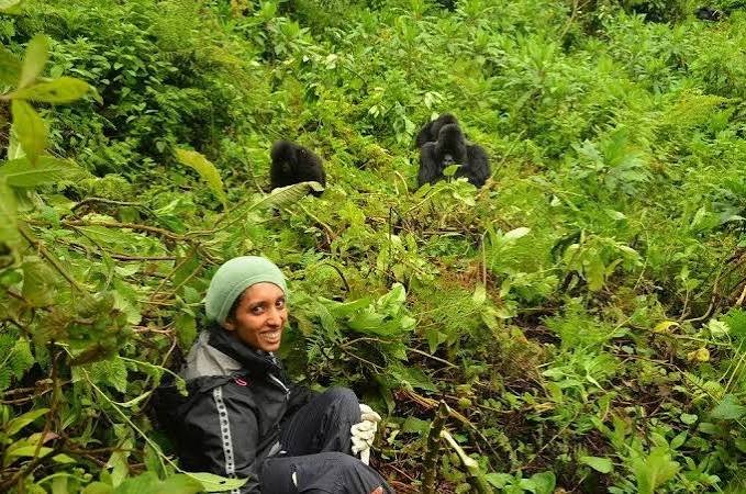 Rwanda Luxury Safari Experience